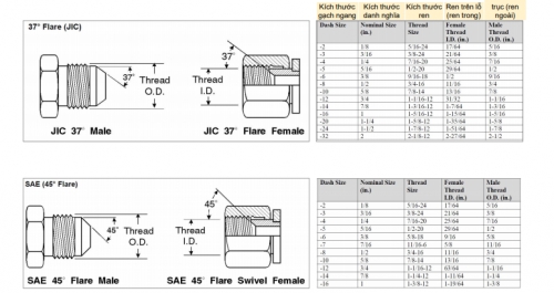 Ren và bước ren ( kích thước ren)  của các đầu cút kết nối ở hai đầu dây thủy lực